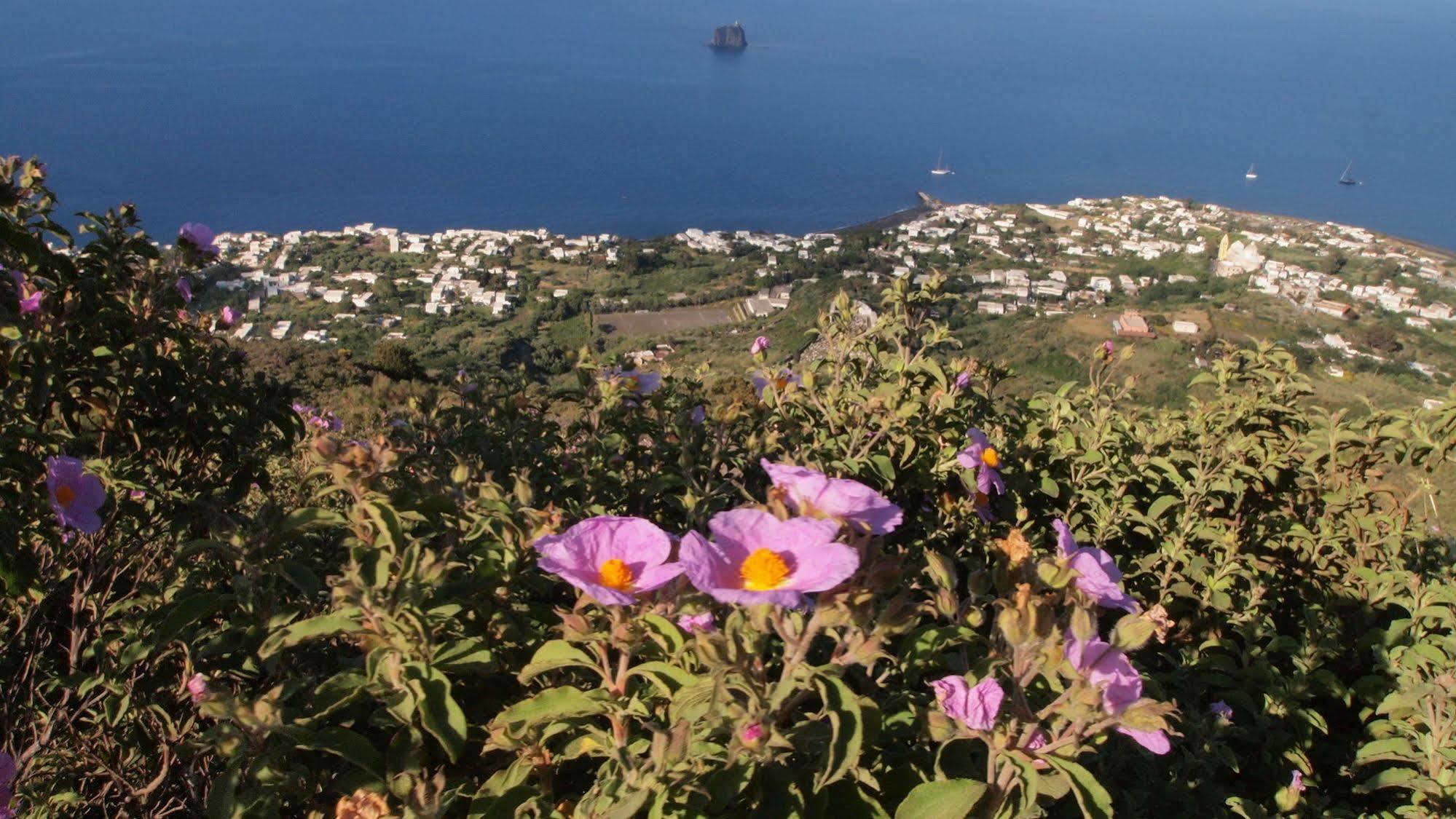 Il Vulcano A Piedi سترومبولي المظهر الخارجي الصورة